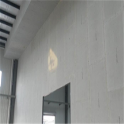 勐腊宁波ALC板|EPS加气板隔墙与混凝土整浇联接的实验研讨
